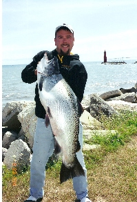 Brown Trout Fishing